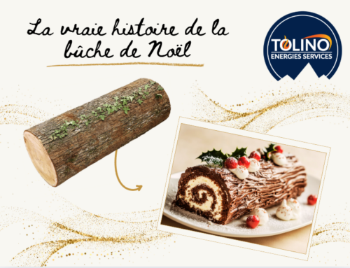 La vraie histoire de la bûche de Noël : quand le feu réchauffait les foyers